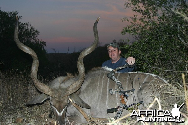 Greater Kudu