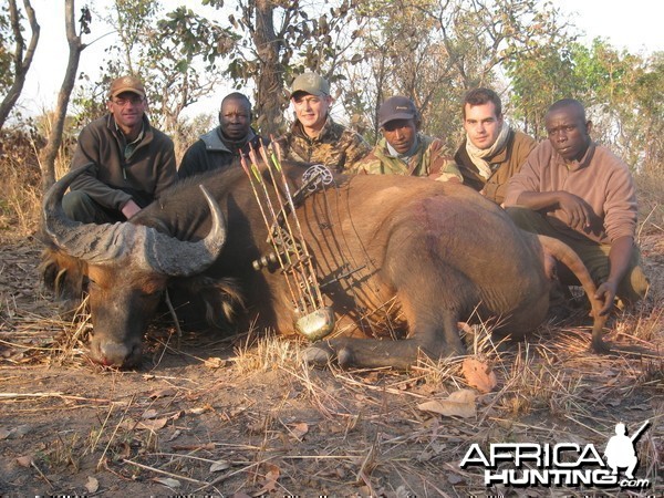 Bowhunting Buffalo CAR