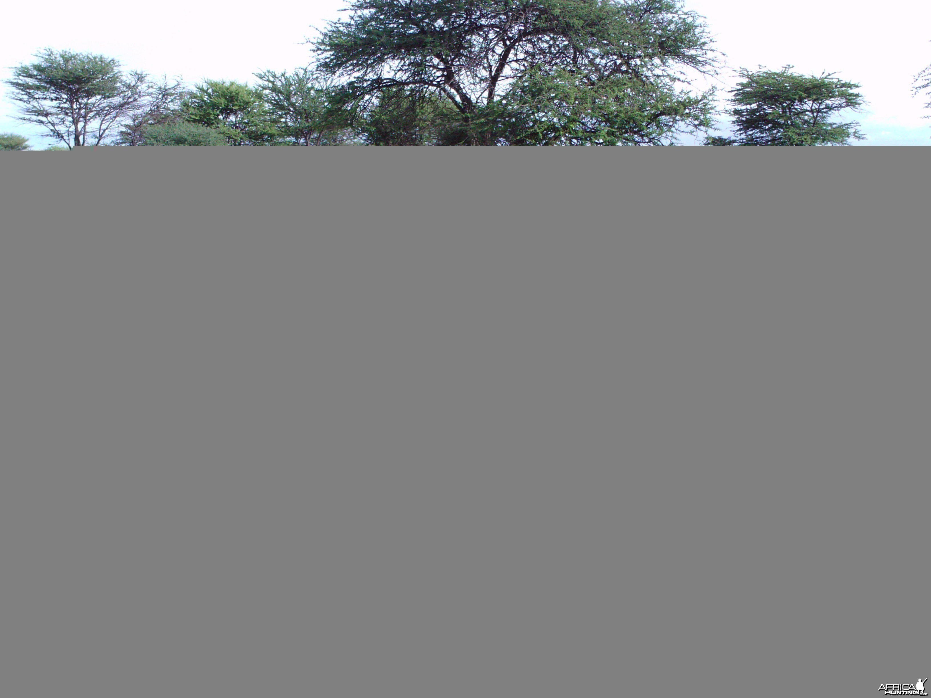 Trail Camera Namibia