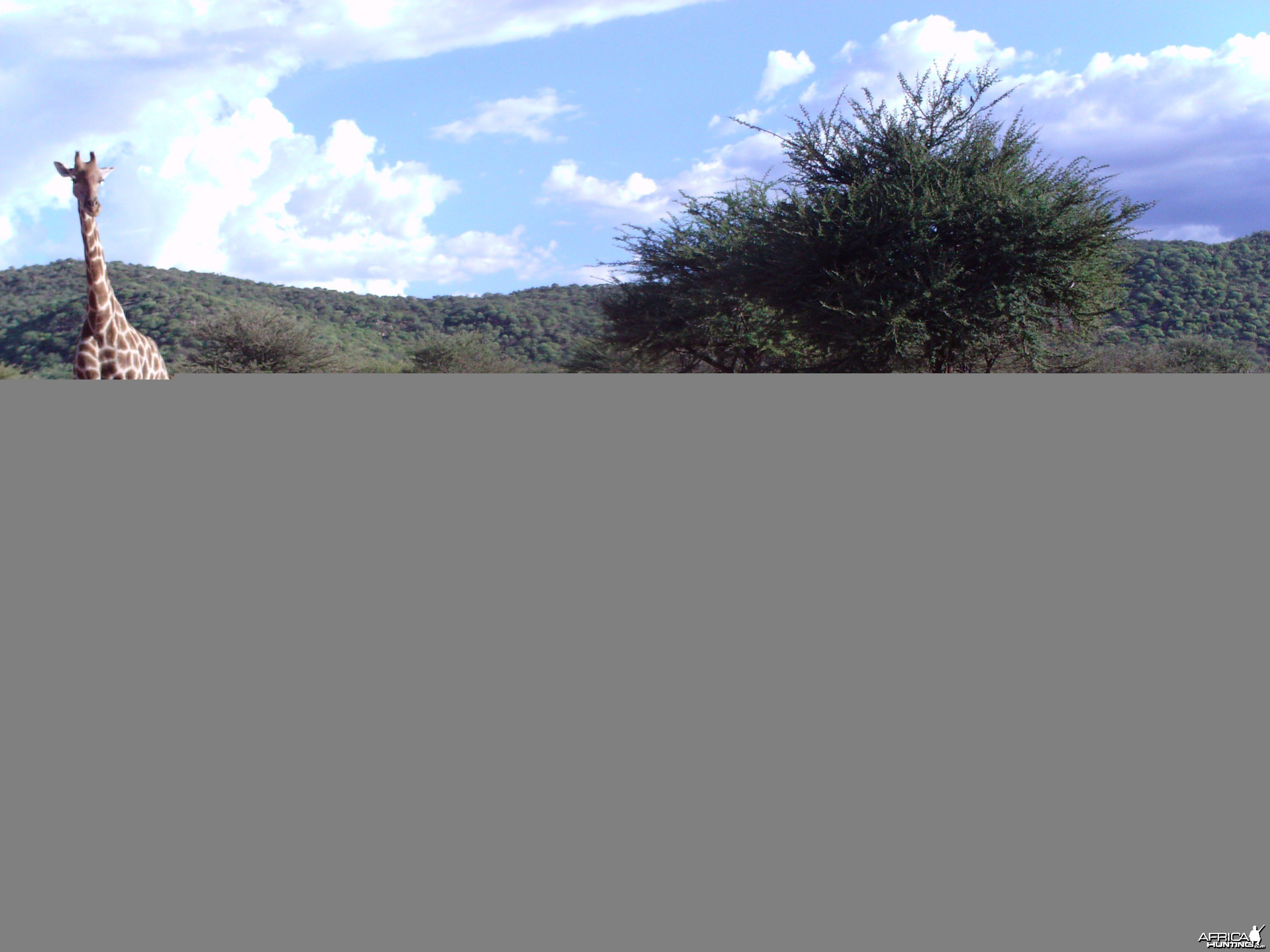 Trail Camera Namibia