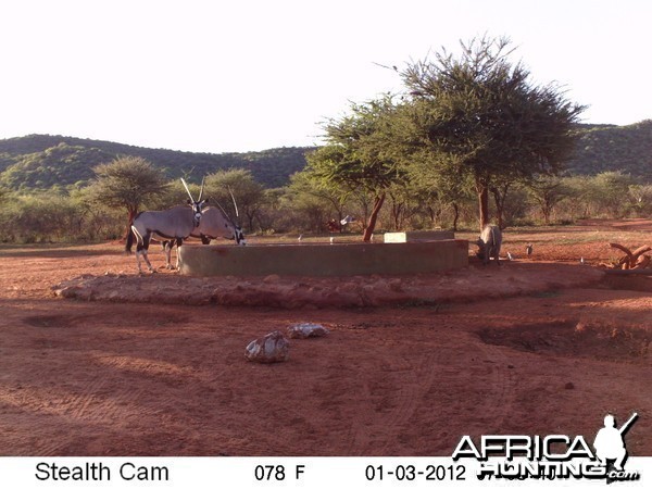 Trail Camera Namibia