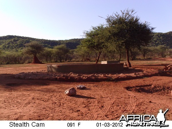 Trail Camera Namibia