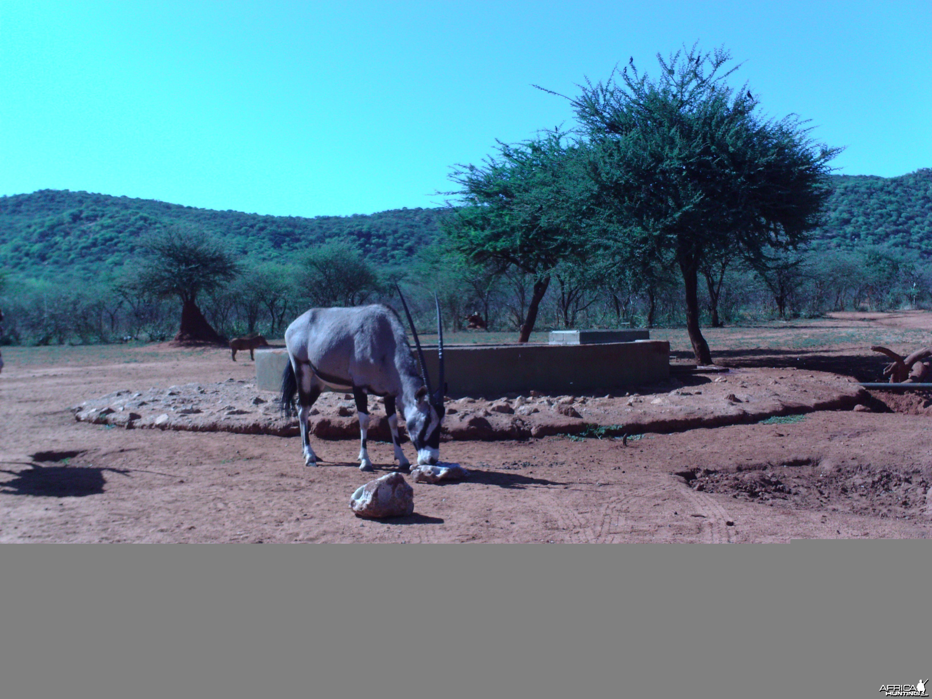 Trail Camera Namibia