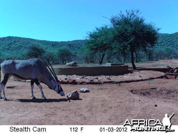 Trail Camera Namibia