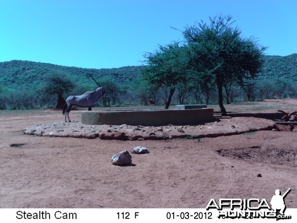 Trail Camera Namibia