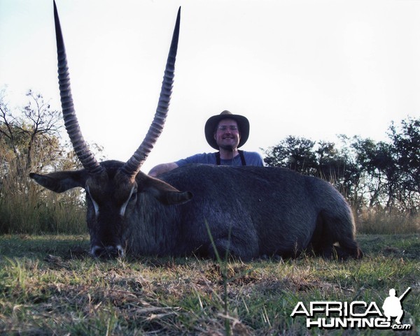 Waterbuck (28 3/4 inches long) Mhimbi Safari