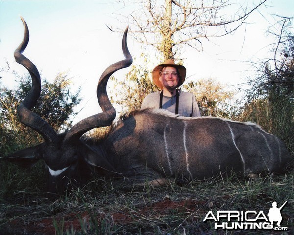 Southern Greater Kudu - Mhimbi Safari