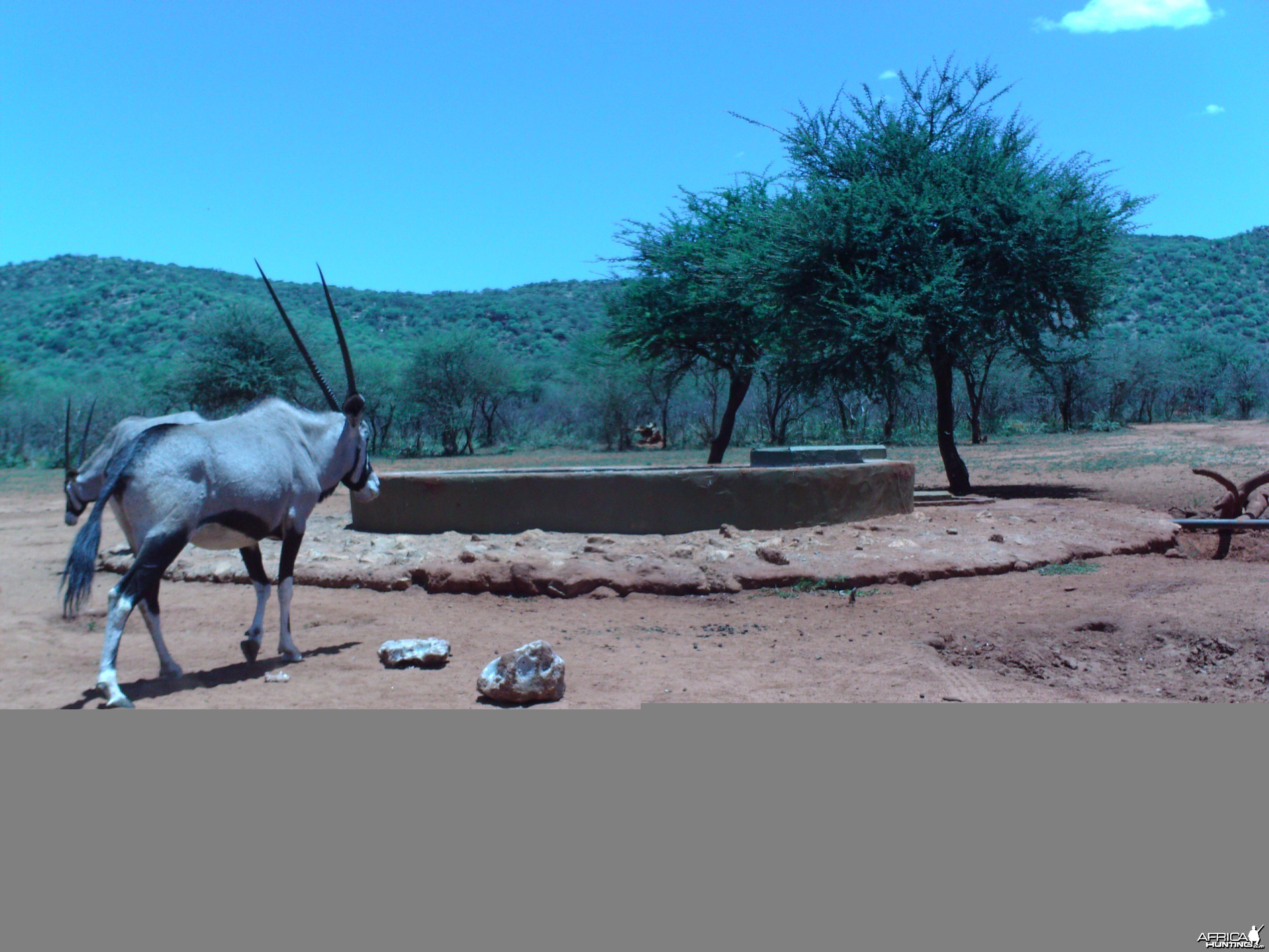 Trail Camera Namibia