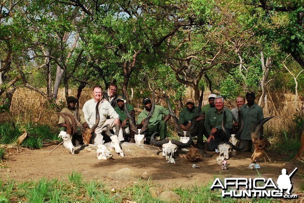 End of safari in CAR