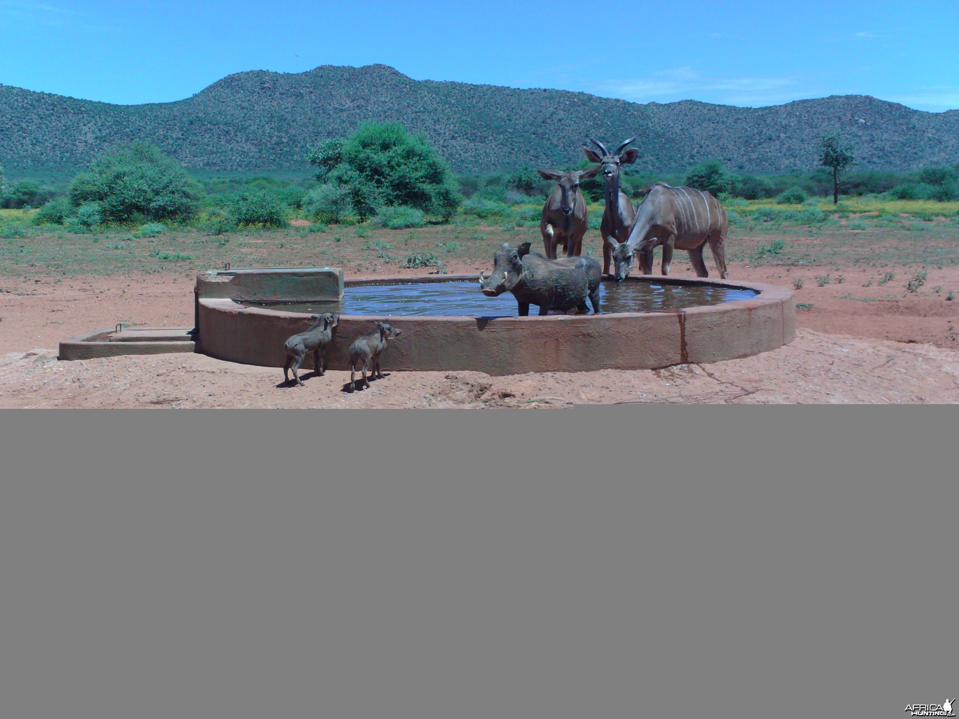 Trail Camera Namibia