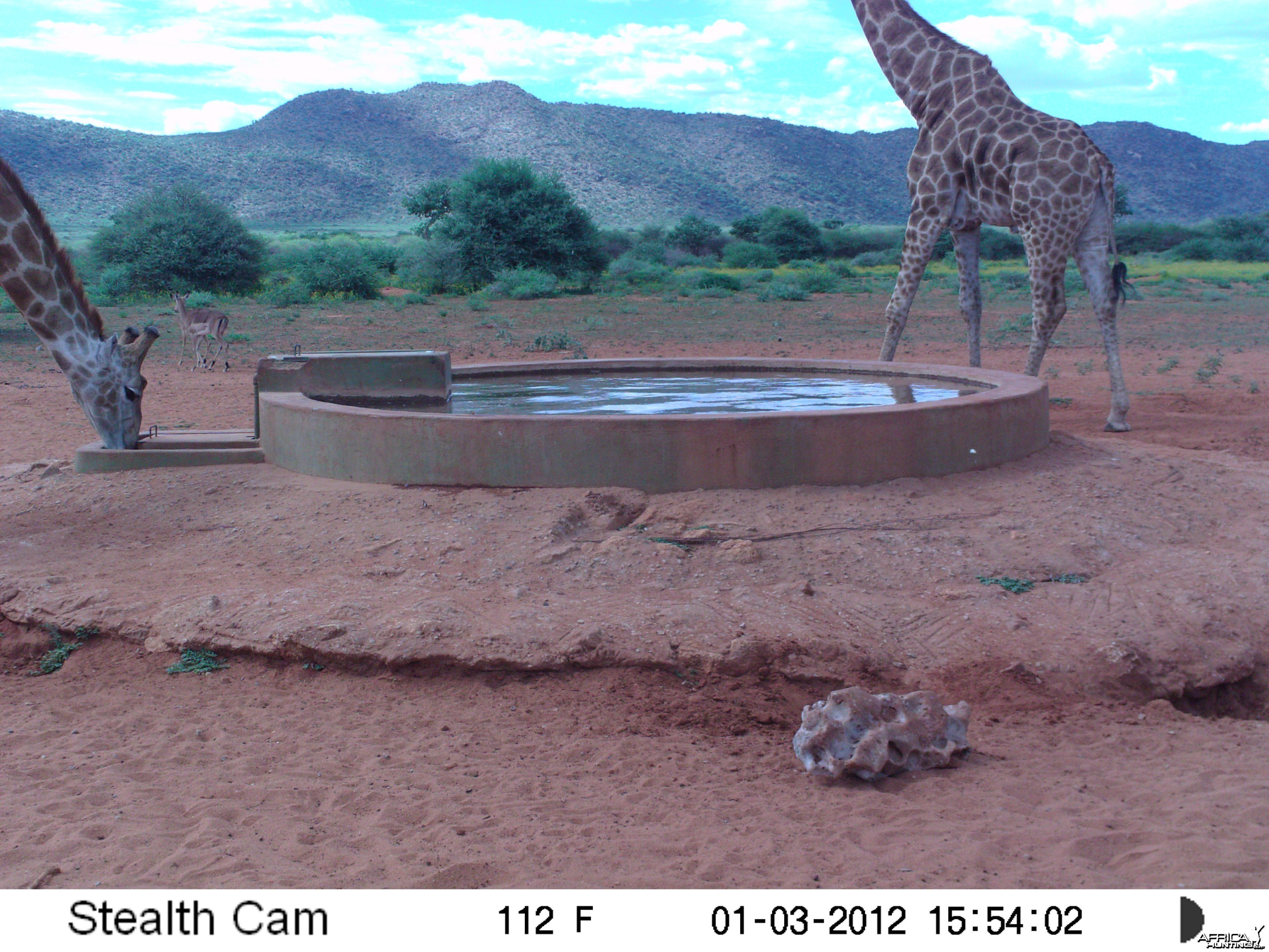 Trail Camera Namibia