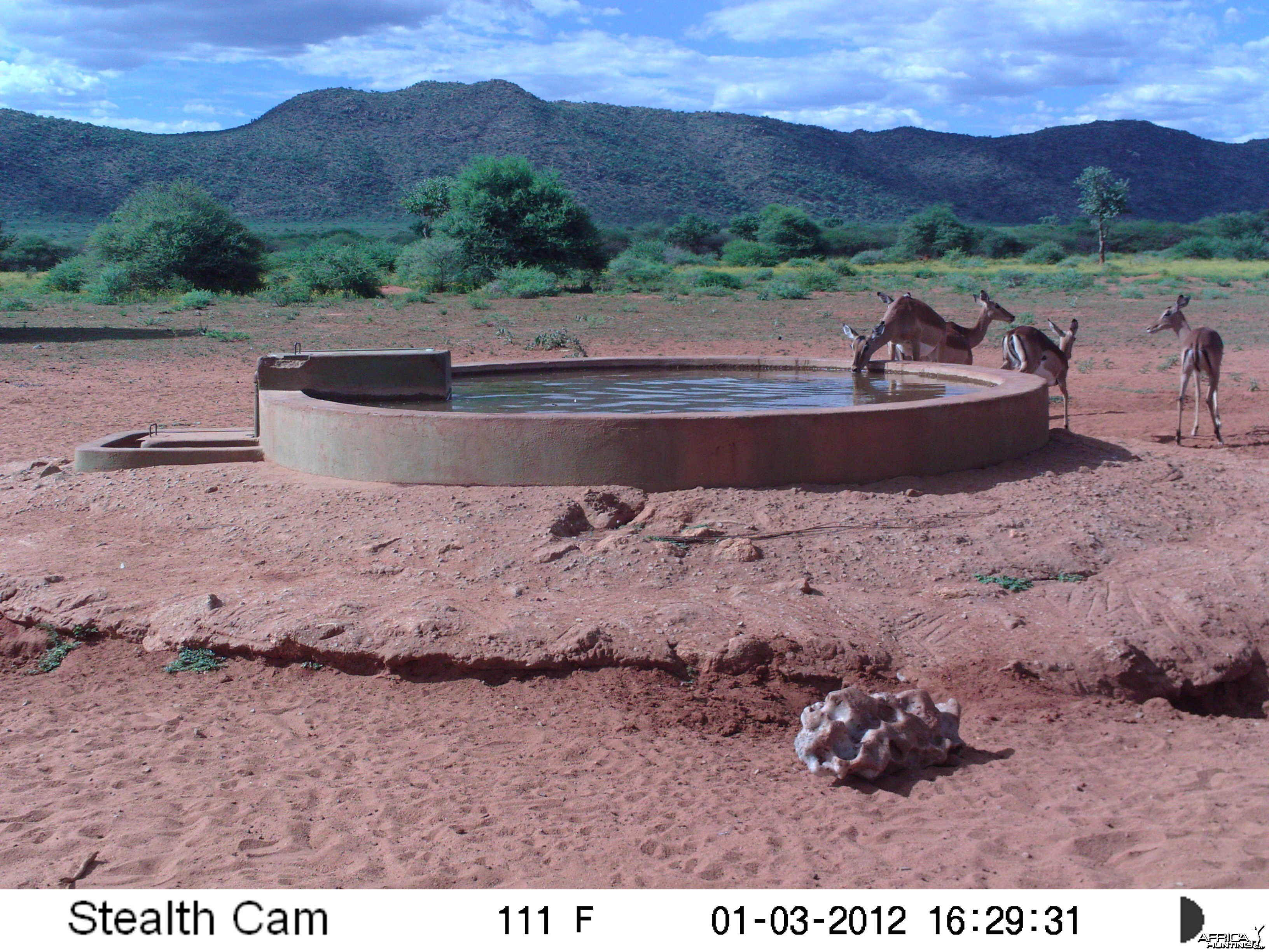 Trail Camera Namibia