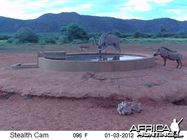 Trail Camera Namibia