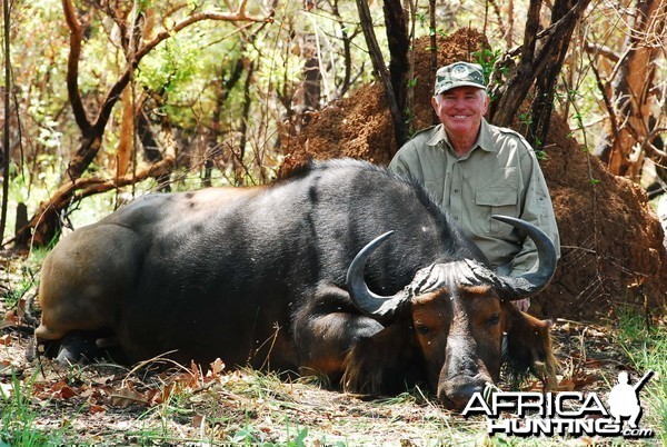 A mixed colour buffalo. Taken at noon a hot february day, 2009