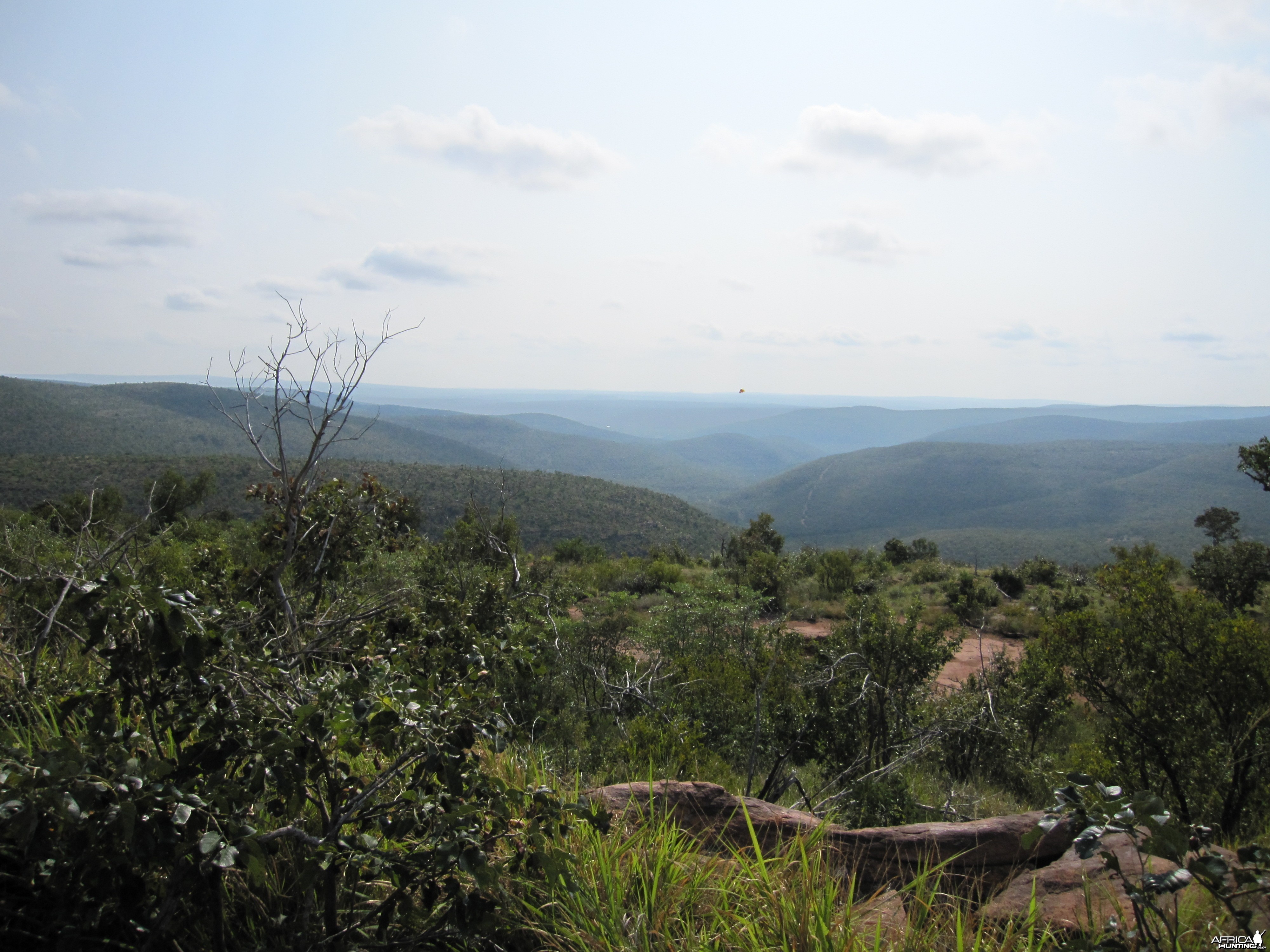 Kwalata views