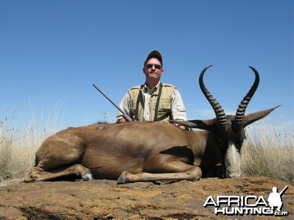 Black Springbok