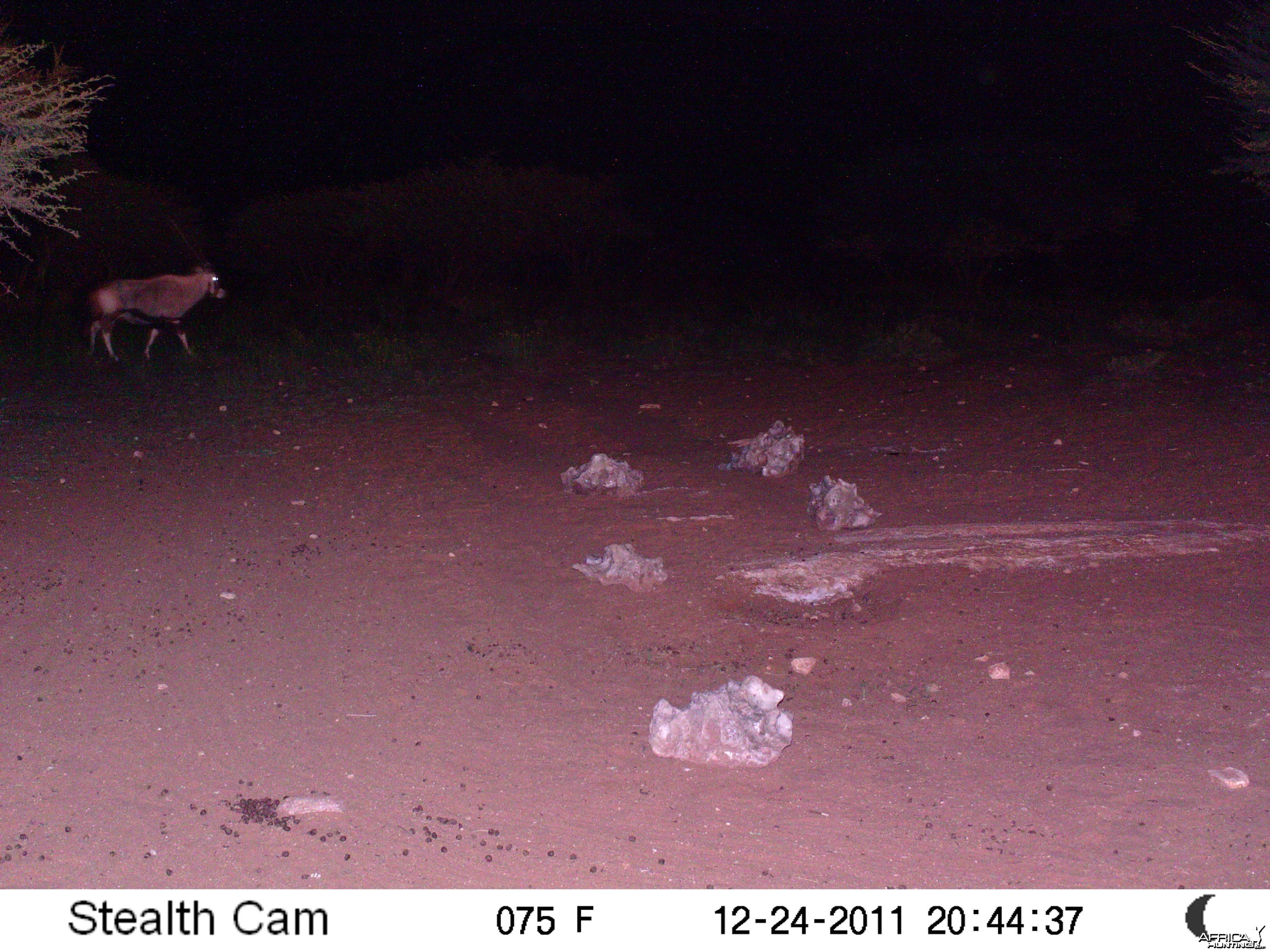 Trail Camera Namibia