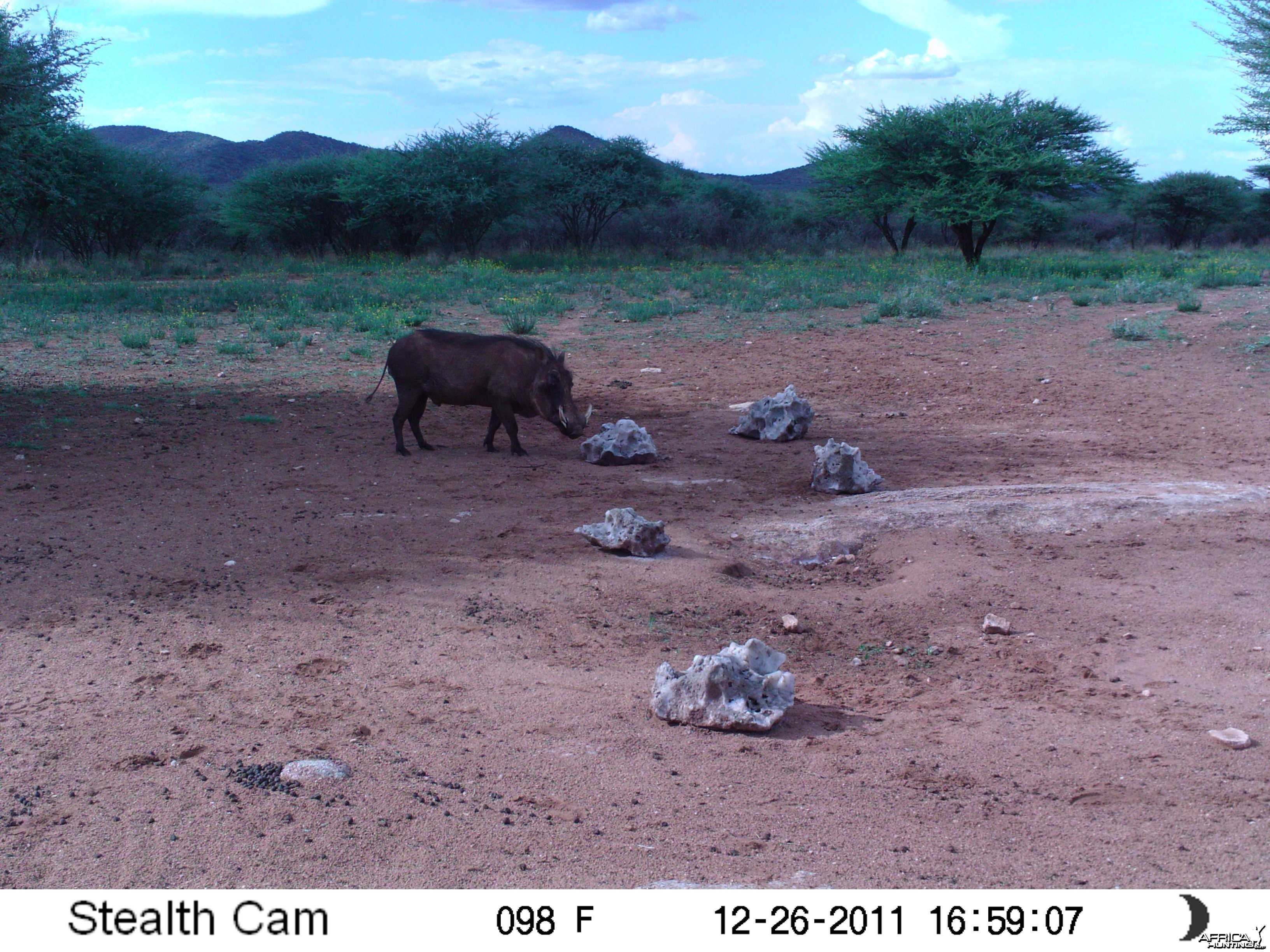 Trail Camera Namibia