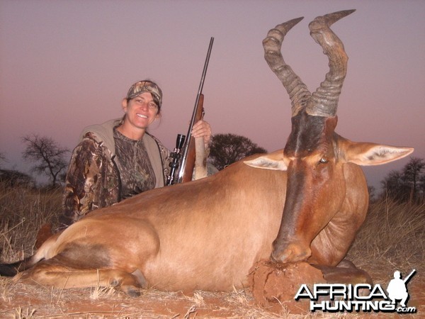 Lisa's Red Hartebeest. Limcroma Safaris 2009