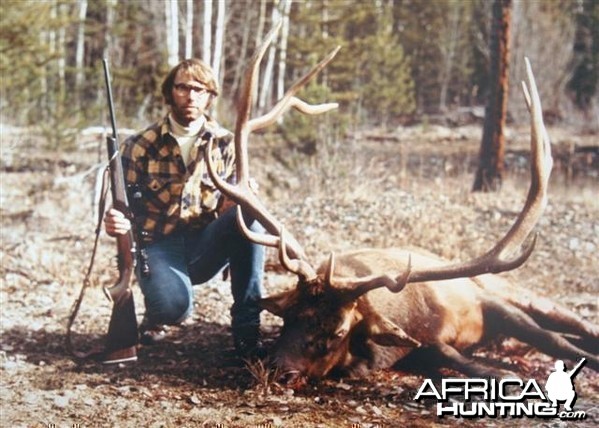 Rocky Mountain Elk