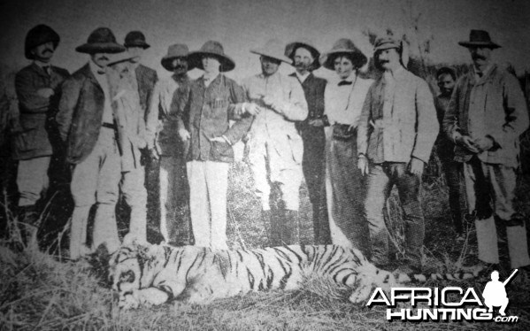 Rare Tiger hunting photographs from 1895 to 1907