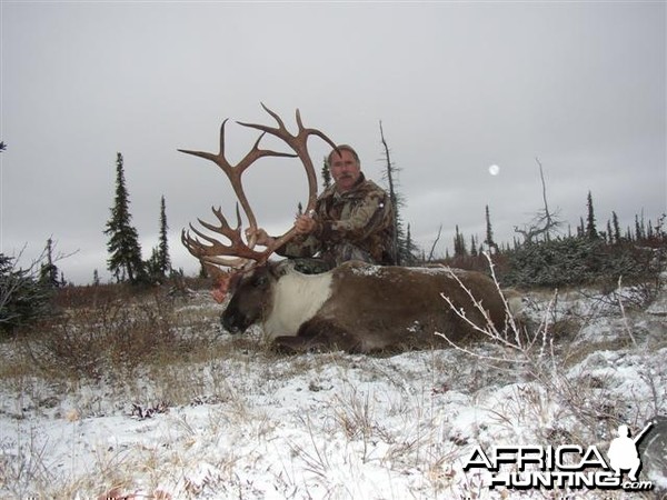 Central Canada Barren Ground Caribou