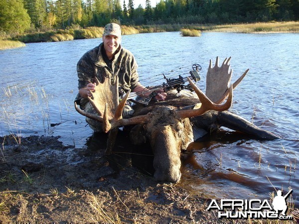 moose in the water