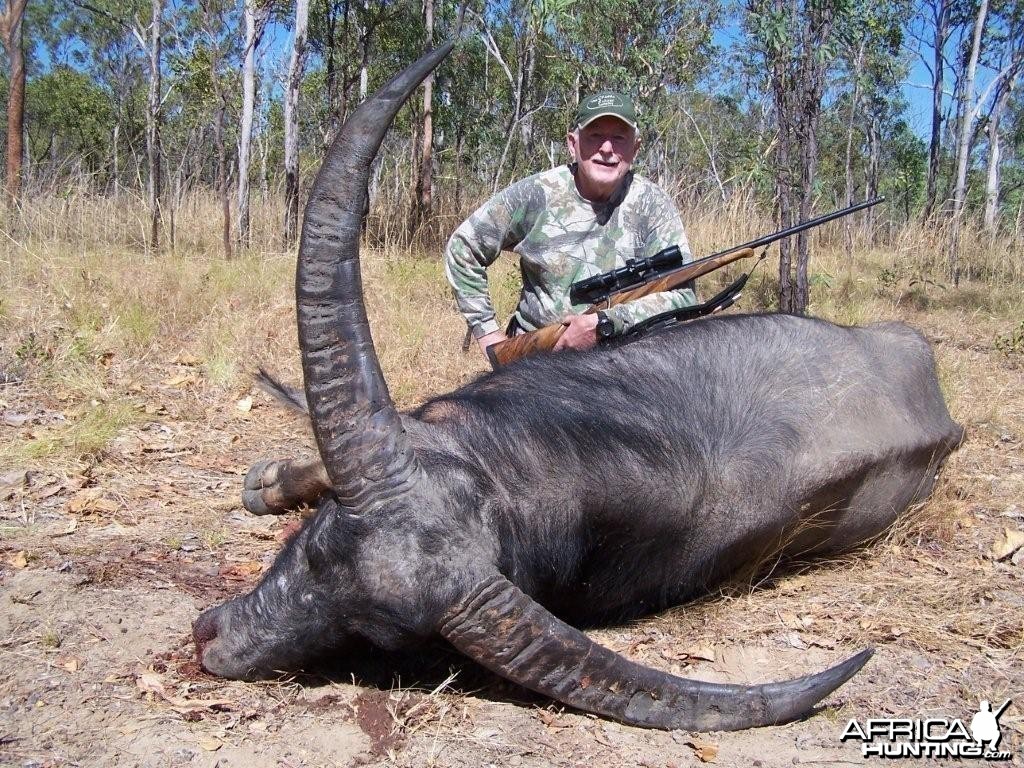 Buffalo Hunt in Australia