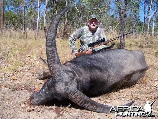 Buffalo Hunt in Australia