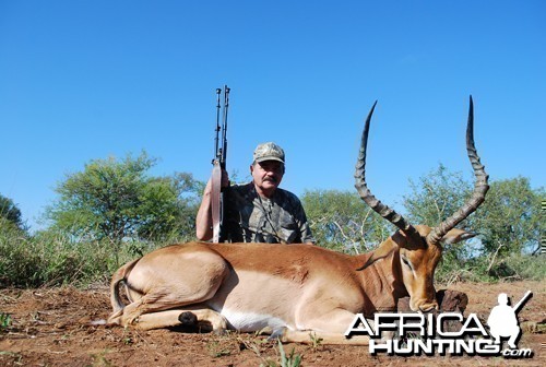 Motsomi Safaris - Impala