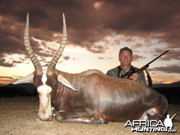 Blesbuck hunted with Andrew Harvey Safaris