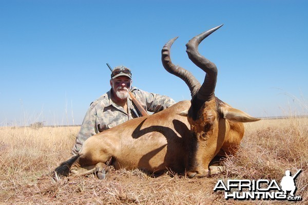 Motsomi Safaris - Red Hartebeest