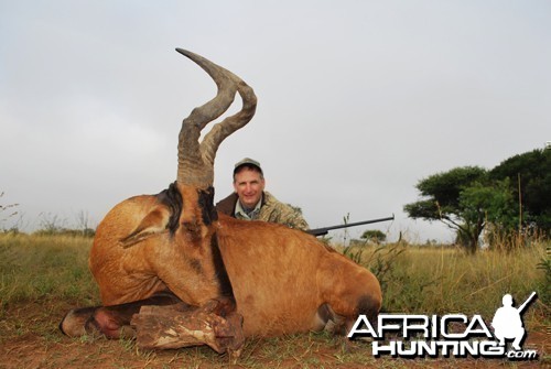 Motsomi Safaris - Red Hartebeest