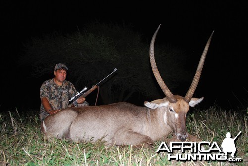 Motsomi Safaris - Waterbuck