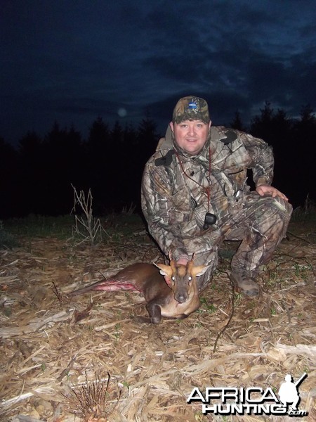 Hunting Muntjac at Leicestershire Castle in England