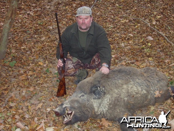 my 9.3x74r jefferys double rifle and a hungarian boar