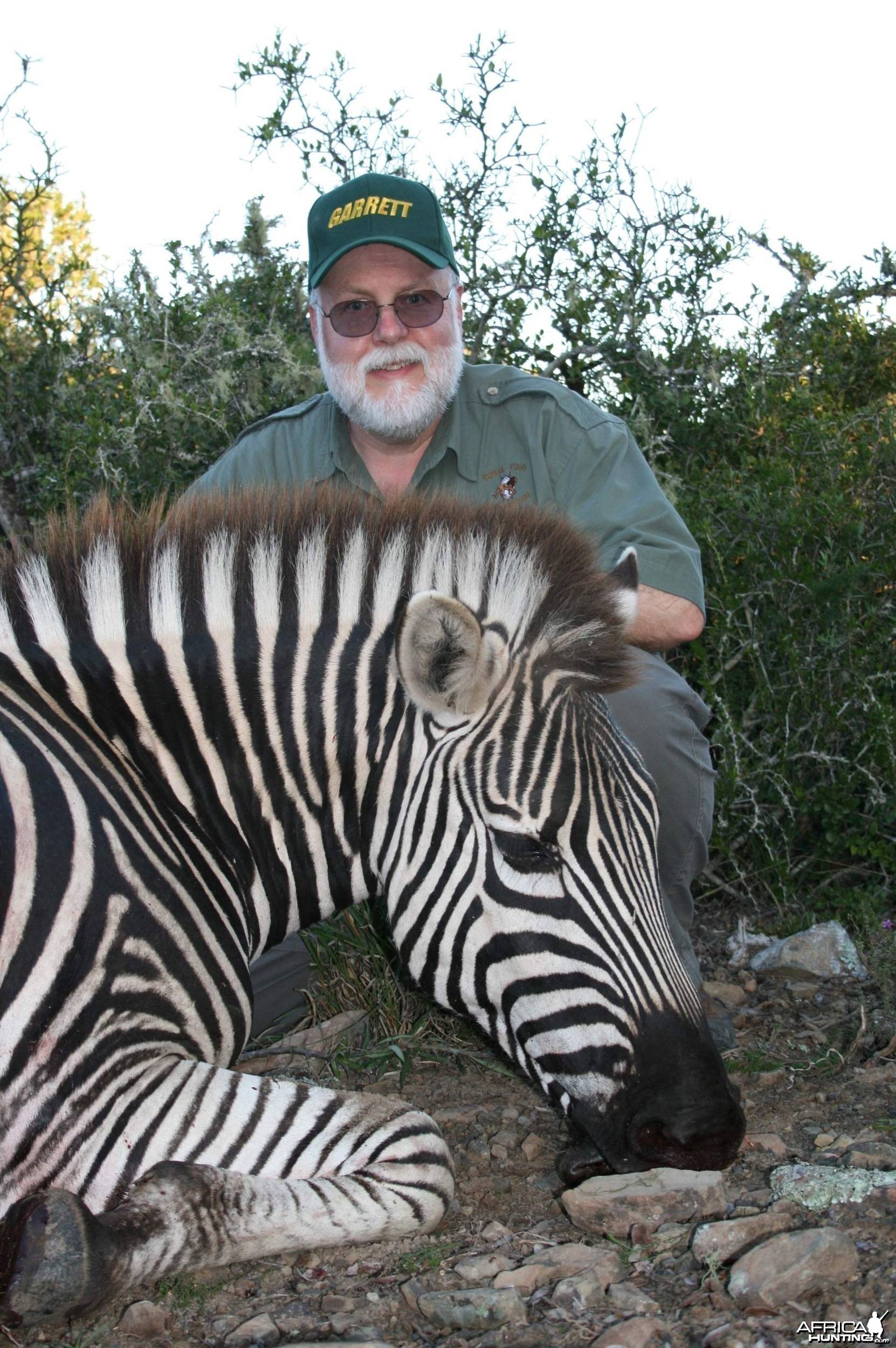 Zebra Head Shot