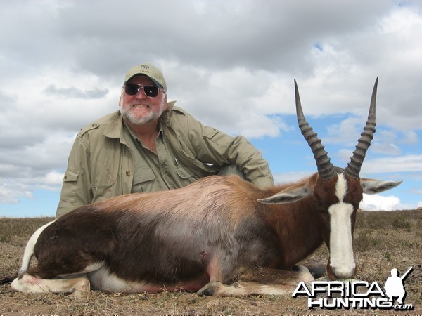 Bontebok hunted with Andrew Harvey Safaris