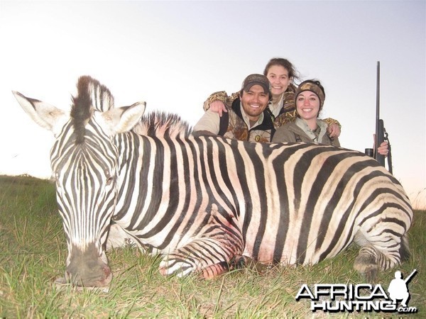 Burchell Zebra hunted with Andrew Harvey Safaris