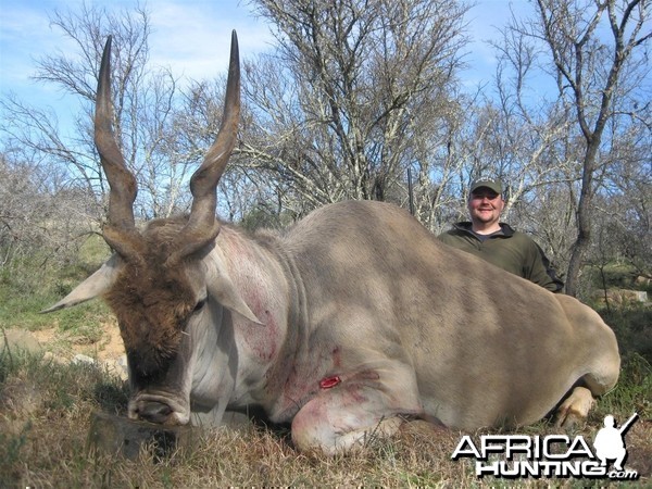 Cape Eland hunted with Andrew Harvey Safaris