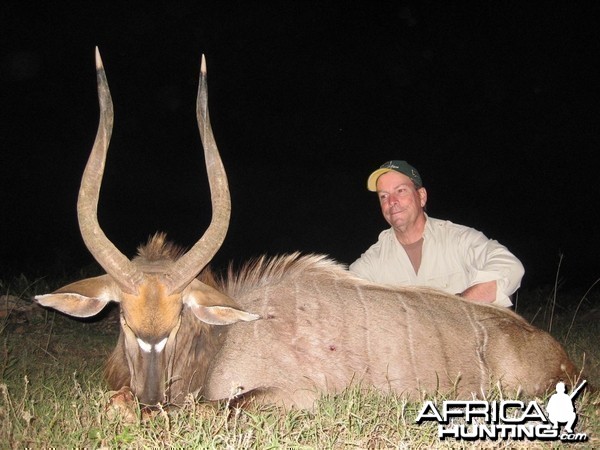Nyala hunted with Andrew Harvey Safaris