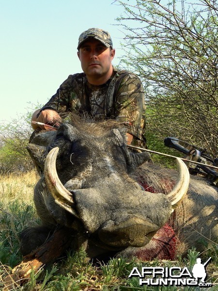 Warthog bowhunted at Ozondjahe Hunting Safaris Namibia