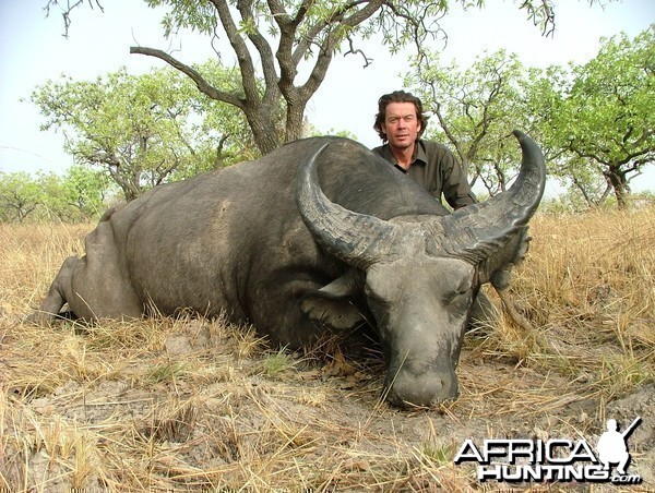 West African Savannah Buffalo hunted in Benin with Club Faune