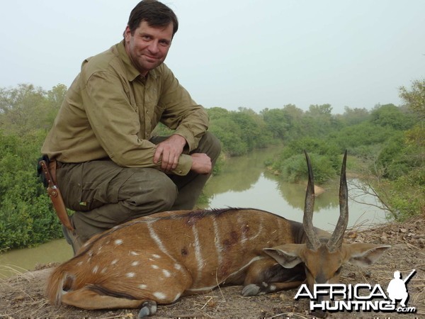 Harnessed Bushbuck hunted in Benin with Club Faune