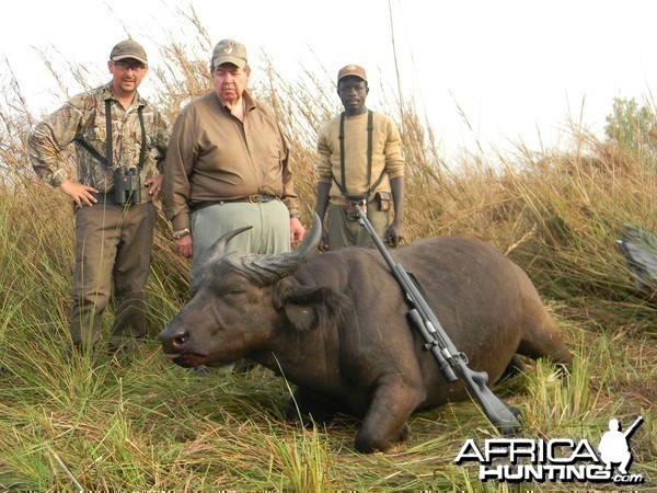 West African Savannah Buffalo hunted in Benin with Club Faune