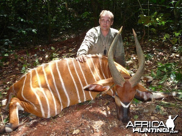 Bongo hunted in Cameroon with Club Faune