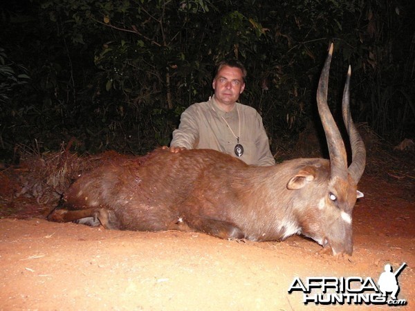 Western Sitatunga hunted in Cameroon with Club Faune