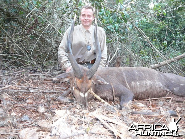 Western Sitatunga hunted in Cameroon with Club Faune