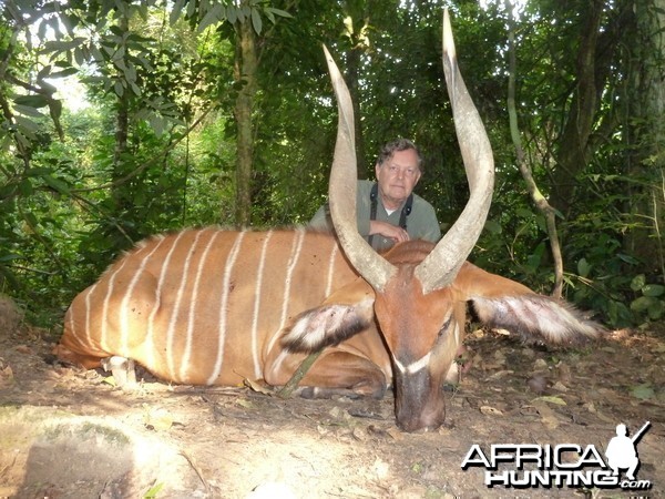 Bongo hunted in Cameroon with Club Faune
