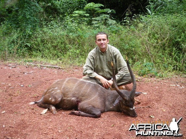 Western Sitatunga hunted in Cameroon with Club Faune